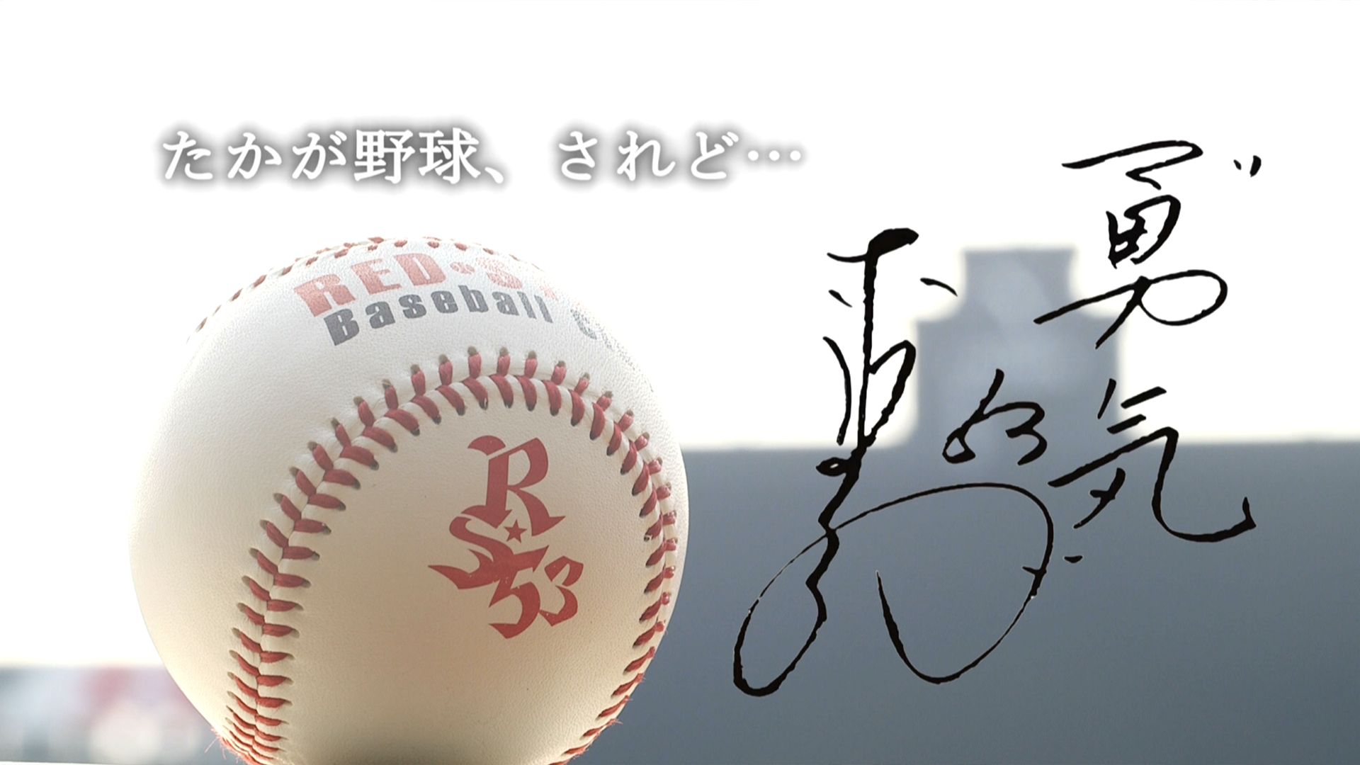 REDSTAR BASEBALL CLUB PV